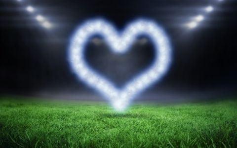 Tips on juggling Valentine's Day + the Big Game - Luv the Paw