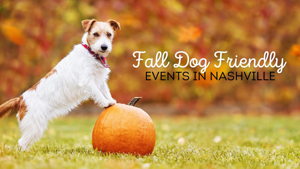 6 Dog-Friendly Events in Nashville, TN for Fall 2024: Best Activities for You and Your Pup - Luv the Paw