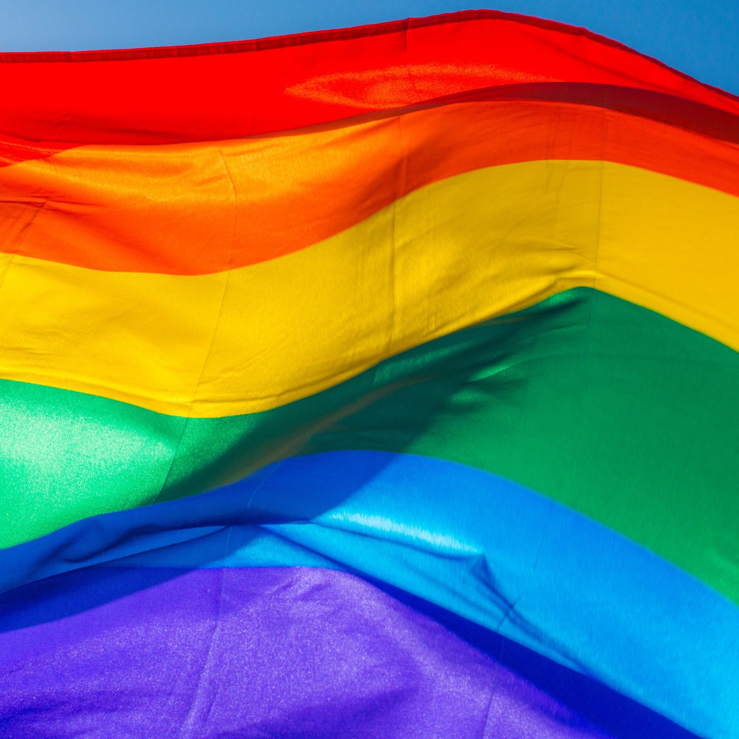 The PRIDE Collection for Pet Lovers