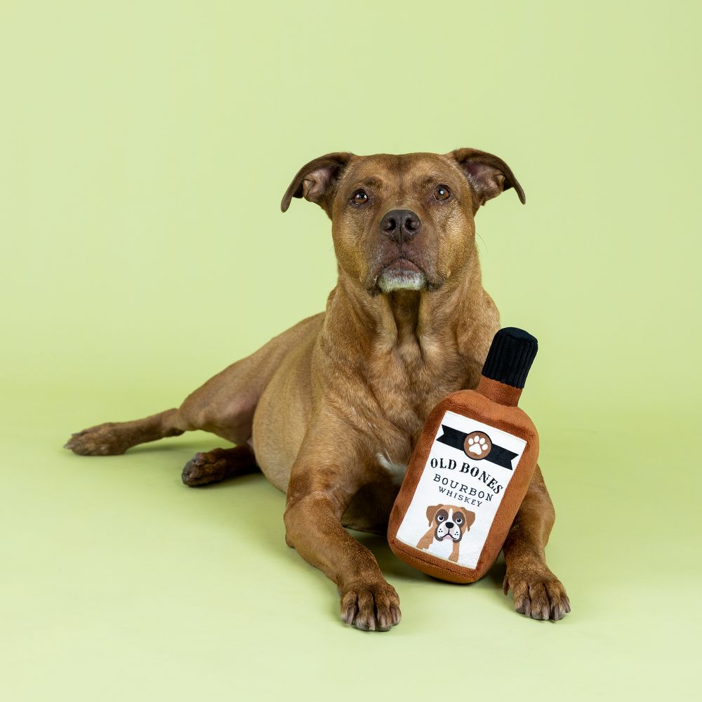 Dog & Cat Toys Collection – Squeaky, Crinkly, and Cute Toys for Pets