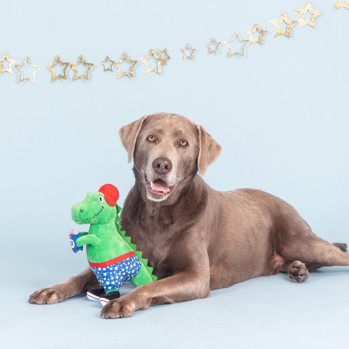 Mr. 4th of July Dog Toy – Let Freedom Squeak