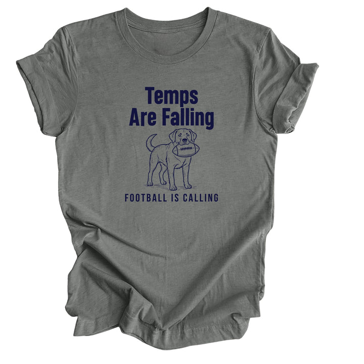 Temps Are Falling Football Is Calling T-Shirt | Funny Fall Dog Lover Tee
