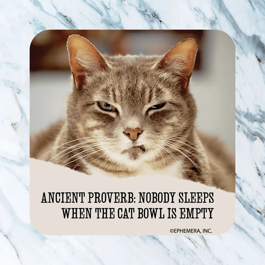 Funny Cat Coasters | Small Gifts for Cat Lovers - Luv the Paw