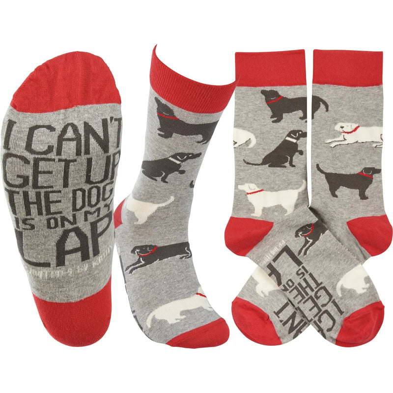 Dog-patterned socks with a message about the dog being on your lap