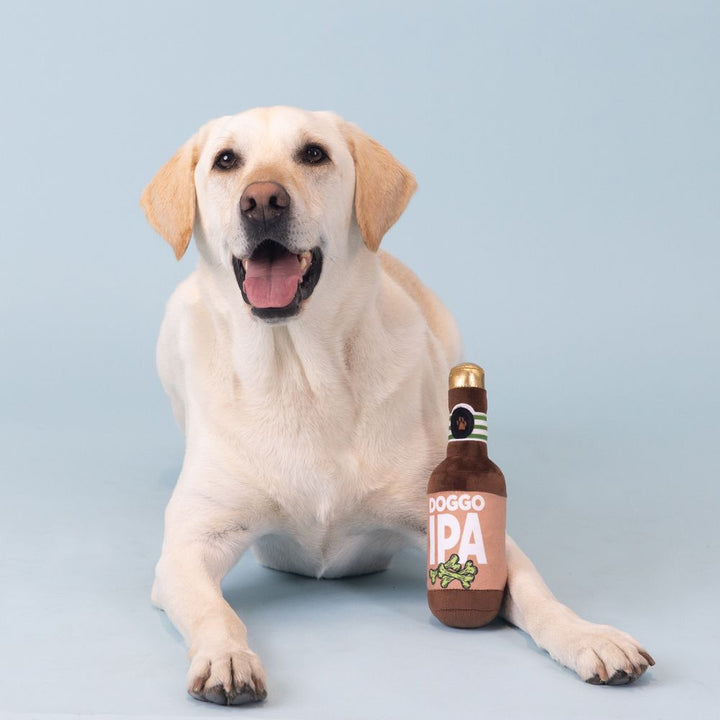DOGGO IPA PLUSH DOG TOY – PetShop by Fringe Studio