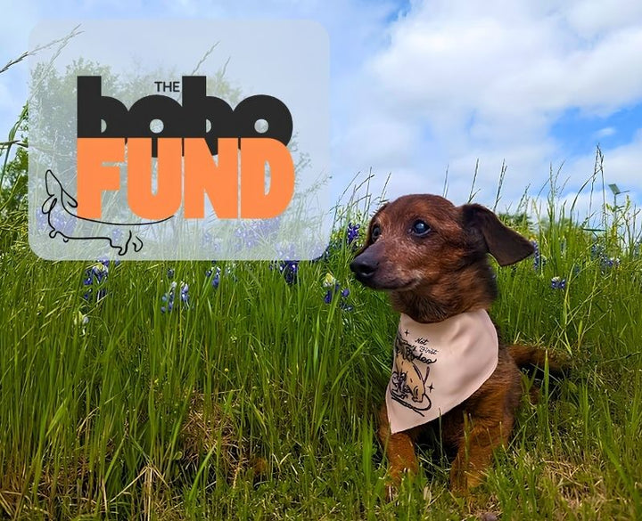 The Bobo Fund
