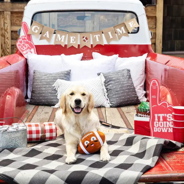 A  retriever sits in the bed of a red pickup truck decorated for a game day, with a black and white checkered blanket, pillows, a football plush toy, and a &