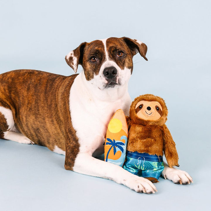 Makin’ Waves Dog Toy – Surfboard Squirrel Squeaky Toy