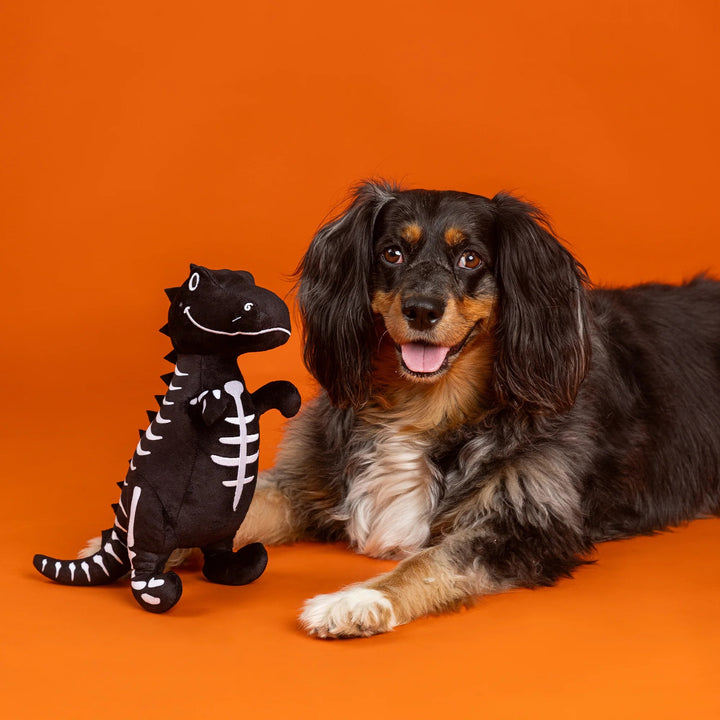 Trick Rawr Treat Glow-in-the-Dark Dog Toy