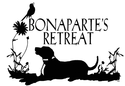 Bonaparte's Retreat