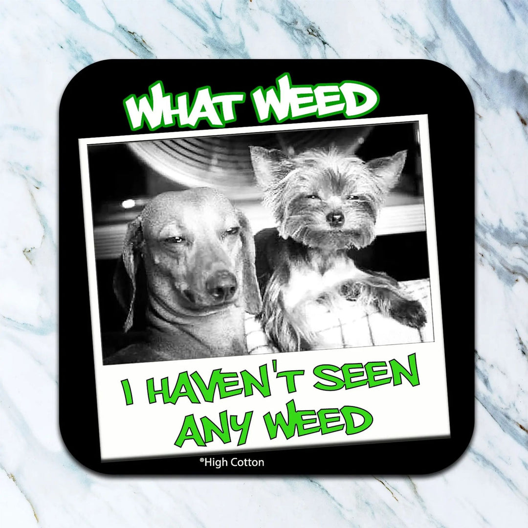 Funny Drink Coasters | Luv the Paw - Luv the Paw