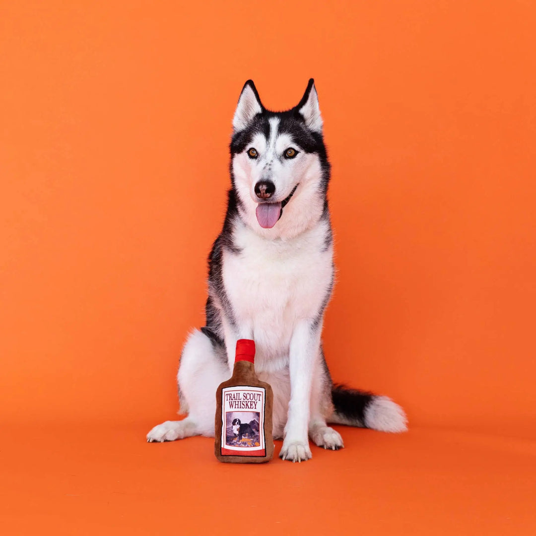 A Siberian husky dog sits centered against a solid orange background, with a small bottle of &